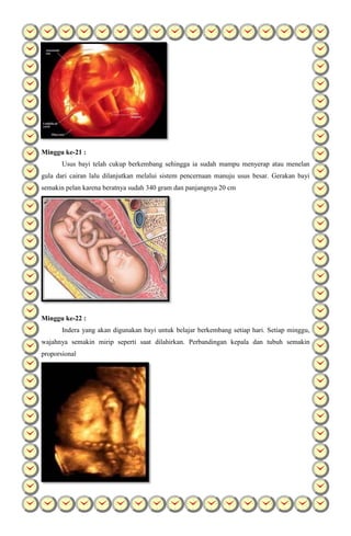 Minggu ke-21 :
Usus bayi telah cukup berkembang sehingga ia sudah mampu menyerap atau menelan
gula dari cairan lalu dilanjutkan melalui sistem pencernaan manuju usus besar. Gerakan bayi
semakin pelan karena beratnya sudah 340 gram dan panjangnya 20 cm
Minggu ke-22 :
Indera yang akan digunakan bayi untuk belajar berkembang setiap hari. Setiap minggu,
wajahnya semakin mirip seperti saat dilahirkan. Perbandingan kepala dan tubuh semakin
proporsional
 