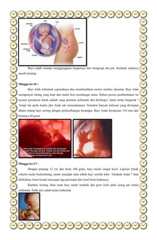 Bayi sudah mampu menggenggam tangannya dan mengisap ibu jari. Kelopak matanya
masih tertutup
Minggu ke-16 :
Bayi telah terbentuk sepenuhnya dan membutuhkan nutrisi melalui plasenta. Bayi telah
mempunyai tulang yang kuat dan mulai bisa mendengar suara. Dalam proses pembentukan ini
system peredaran darah adalah yang pertama terbentuk dan berfungsi. Janin mulai bergerak !
Tetapi tak perlu kuatir jika Anda tak merasakannya. Semakin banyak kalsium yang disimpan
dalam tulang bayi seiring dengan perkembangan kerangka. Bayi Anda berukuran 116 mm dan
beratnya 80 gram
Minggu ke-17 :
Dengan panjang 12 cm dan berat 100 gram, bayi masih sangat kecil. Lapisan lemak
cokelat mulai berkembang, untuk menjada suhu tubuh bayi setelah lahir. Tahukah Anda ? Saat
dilahirkan, berat lemak mencapai tiga perempat dari total berat badannya.
Rambut, kening, bulu mata bayi mulai tumbuh dan garis kulit pada ujung jari mulai
terbentuk. Sidik jari sudah mulai terbentuk
 