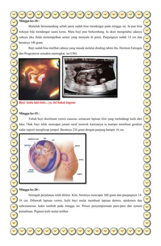 Minggu ke-18 :
Mulailah bersenandung sebab janin sudah bisa mendengar pada minggu ini. Ia pun bisa
terkejut bila mendengar suara keras. Mata bayi pun berkembang. Ia akan mengetahui adanya
cahaya jika Anda menempelkan senter yang menyala di perut. Panjangnya sudah 14 cm dan
beratnya 140 gram.
Bayi sudah bisa melihat cahaya yang masuk melalui dinding rahim ibu. Hormon Estrogen
dan Progesteron semakin meningkat. ini USG.
Bayi Anda laki-laki... ya, ini bakal Jagoan
Minggu ke-19 :
Tubuh bayi diselimuti vernix caseosa, semacam lapisan lilin yang melindungi kulit dari
luka. Otak bayi telah mencapai jutaan saraf motorik karenanya ia mampu membuat gerakan
sadar seperti menghisap jempol. Beratnya 226 gram dengan panjang hampir 16 cm.
Minggu ke-20 :
Setengah perjalanan telah dilalui. Kini, beratnya mencapai 260 gram dan panjangnya 14-
16 cm. Dibawah lapisan vernix, kulit bayi mulai membuat lapisan dermis, epidermis dan
subcutaneous. kuku tumbuh pada minggu ini. Proses penyempurnaan paru-paru dan system
pernafasan. Pigmen kulit mulai terlihat
 