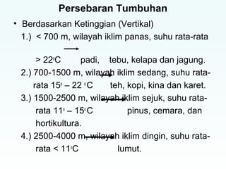 Persebaran Tumbuhan 
• Berdasarkan Ketinggian (Vertikal) 
1.) < 700 m, wilayah iklim panas, suhu rata-rata 
> 22oC padi, tebu, kelapa dan jagung. 
2.) 700-1500 m, wilayah iklim sedang, suhu rata-rata 
15o – 22 o C teh, kopi, kina dan karet. 
3.) 1500-2500 m, wilayah iklim sejuk, suhu rata-rata 
11o – 15o C pinus, cemara, dan 
hortikultura. 
4.) 2500-4000 m, wilayah iklim dingin, suhu rata-rata 
< 11oC lumut. 
 