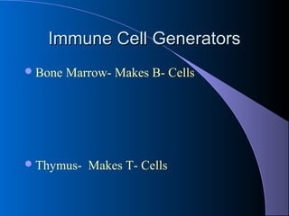 Immune Cell GeneratorsImmune Cell Generators
Bone Marrow- Makes B- Cells
Thymus- Makes T- Cells
 