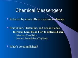 Chemical MessengersChemical Messengers
 Released by mast cells in response to damage
 Bradykinin, Histamine, and Leukotrienes
– Increases Local Blood Flow to distressed area
 Stimulates Vasodilation
 Increases Permeability of Capillaries
 What’s Accomplished?
 