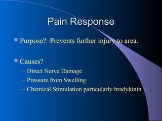 Pain ResponsePain Response
Purpose? Prevents further injury to area.
Causes?
– Direct Nerve Damage
– Pressure from Swelling
– Chemical Stimulation particularly bradykinin
 
