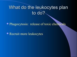What do the leukocytes planWhat do the leukocytes plan
to do?to do?
Phagocytosis: release of toxic chemicals
Recruit more leukocytes
 