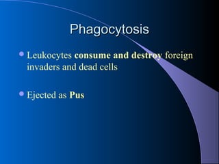 PhagocytosisPhagocytosis
Leukocytes consume and destroy foreign
invaders and dead cells
Ejected as Pus
 