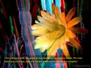 - Por mais que você não goste de sua aparência, se imagine bonito. Por mais pobre que você seja, diga a si mesmo e aos outros que você é próspero! 