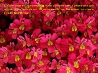 E, a partir desse dia, tudo começou a mudar, a vida me trouxe a pessoa certa para tudo que eu precisava, até que cheguei onde estou hoje. Tive apenas que entender o “Poder das Palavras”.  