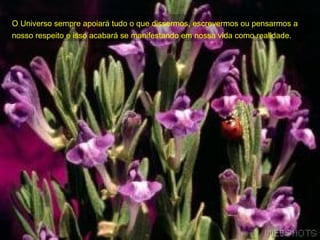 O Universo sempre apoiará tudo o que dissermos, escrevermos ou pensarmos a nosso respeito e isso acabará se manifestando em nossa vida como realidade. 