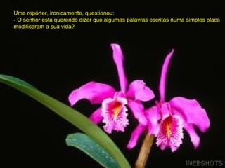 Uma repórter, ironicamente, questionou:  - O senhor está querendo dizer que algumas palavras escritas numa simples placa modificaram a sua vida?  