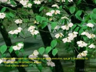 Numa bela manhã, um importante e arrojado executivo, que já  o observava há algum tempo, se aproximou e disse:  - Você é muito criativo! 
