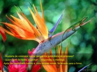 Gostaria de colaborar numa campanha publicitária da empresa?  Quero sim! Só tenho a ganhar!  - respondeu o mendigo. Após um caprichado banho e, com roupas novas, foi levado para a firma. 