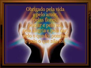 Obrigado pela vida  e pelo amor, pelas flores,  pelo ar e pelo sol, pela alegria e pela dor, pelo o que foi possível e pelo o que não foi. 
