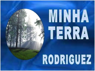 MINHA TERRA RODRIGUEZ 