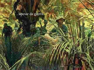 ...apesar da guerra.
 