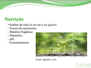 Nutrição

Análise de solo (0-20 cm e 20-40cm):
- Teores de nutrientes;
- Matéria Orgânica;
- Alumínio;
- pH;
- Granulometria.
Fonte: Agropro, 2017.
 
