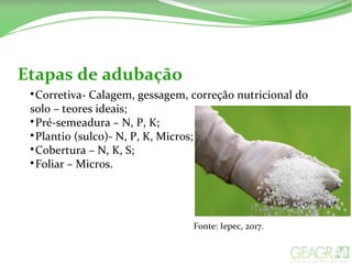 Etapas de adubação

Corretiva- Calagem, gessagem, correção nutricional do
solo – teores ideais;

Pré-semeadura – N, P, K;

Plantio (sulco)- N, P, K, Micros;

Cobertura – N, K, S;

Foliar – Micros.
Fonte: Iepec, 2017.
 