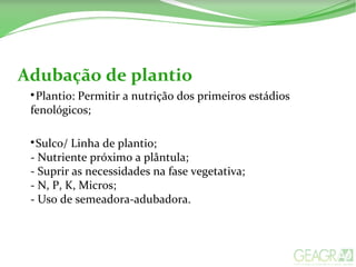 Adubação de plantio

Plantio: Permitir a nutrição dos primeiros estádios
fenológicos;

Sulco/ Linha de plantio;
- Nutriente próximo a plântula;
- Suprir as necessidades na fase vegetativa;
- N, P, K, Micros;
- Uso de semeadora-adubadora.
 