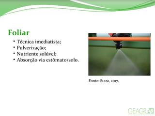 Foliar

Técnica imediatista;

Pulverização;

Nutriente solúvel;

Absorção via estômato/solo.
Fonte: Stara, 2017.
 