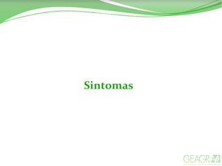 Sintomas
 