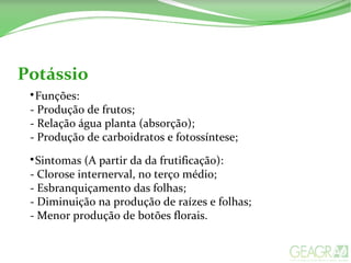Potássio

Funções:
- Produção de frutos;
- Relação água planta (absorção);
- Produção de carboidratos e fotossíntese;

Sintomas (A partir da da frutificação):
- Clorose internerval, no terço médio;
- Esbranquiçamento das folhas;
- Diminuição na produção de raízes e folhas;
- Menor produção de botões florais.
 