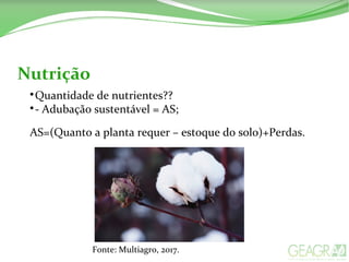 Nutrição

Quantidade de nutrientes??

- Adubação sustentável = AS;
AS=(Quanto a planta requer – estoque do solo)+Perdas.
Fonte: Multiagro, 2017.
 