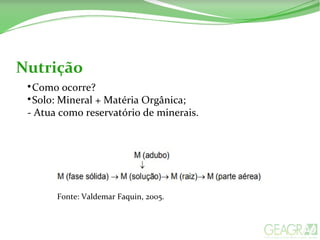 Nutrição

Como ocorre?

Solo: Mineral + Matéria Orgânica;
- Atua como reservatório de minerais.
Fonte: Valdemar Faquin, 2005.
 