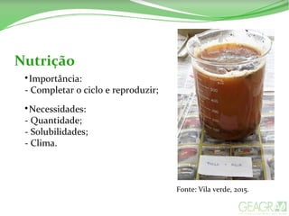 Nutrição

Importância:
- Completar o ciclo e reproduzir;

Necessidades:
- Quantidade;
- Solubilidades;
- Clima.
Fonte: Vila verde, 2015.
 