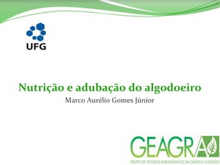 Nutrição e adubação do algodoeiro
Marco Aurélio Gomes Júnior
 