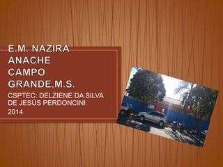 CSPTEC: DELZIENE DA SILVA 
DE JESÚS PERDONCINI 
2014 
 