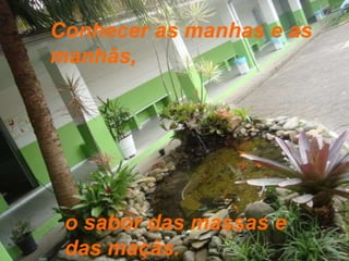 Conhecer as manhas e as manhãs, o sabor das massas e das maçãs. 