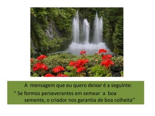 A mensagem que eu quero deixar é a seguinte:
“ Se formos perseverantes em semear a boa
     semente, o criador nos garantia de boa colheita’’
 