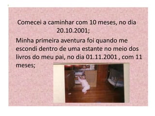 Comecei a caminhar com 10 meses, no dia
              20.10.2001;
Minha primeira aventura foi quando me
escondi dentro de uma estante no meio dos
livros do meu pai, no dia 01.11.2001 , com 11
meses;
 