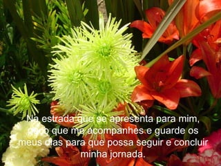 Na estrada que se apresenta para mim, peço que me acompanhes e guarde os meus dias para que possa seguir e concluir minha jornada. 