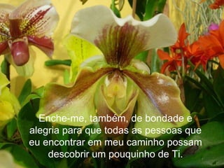 Enche-me, também, de bondade e alegria para que todas as pessoas que eu encontrar em meu caminho possam descobrir um pouquinho de Ti. 