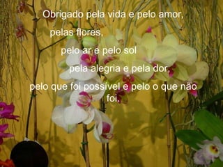 Obrigado pela vida e pelo amor, pelas flores, pelo ar e pelo sol pela alegria e pela dor, pelo que foi possível e pelo o que não foi. 
