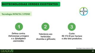 12
BIOTECNOLOGIAS VERDES EXISTENTES
Tecnologia INTACTA 2 XTEND
Fonte: Bayer e Canva, acesso em 2022.
Defesa contra
Helicoverpa armigera
e a Spodoptera
cosmioides;
Tolerância aos
herbicidas
dicamba e glifosato;
Custo:
R$ 173,10 por hectare
e alto teto produtivo.
 