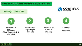 13
BIOTECNOLOGIAS VERDES EXISTENTES
Fonte: Canva, acesso em 2022.
Tecnologia Conkesta E3®
Tolerância a
Glifosato,
Glufosinato e 2,4-D
Sal Colina;
Autorização
exportação
para UE;
Proteínas Bt
(Cry1F e
Cry1Ac);
Alto teto
produtivo.
 