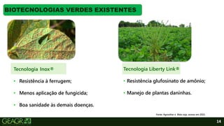 14
BIOTECNOLOGIAS VERDES EXISTENTES
Tecnologia Inox®
• Resistência à ferrugem;
• Menos aplicação de fungicida;
• Boa sanidade às demais doenças.
Fonte: Agroolhar e Mais soja, acesso em 2022.
Tecnologia Liberty Link®
• Resistência glufosinato de amônio;
• Manejo de plantas daninhas.
 