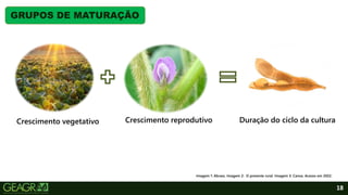 18
GRUPOS DE MATURAÇÃO
Crescimento vegetativo Crescimento reprodutivo Duração do ciclo da cultura
Imagem 1: Abrass. Imagem 2: O presente rural. Imagem 3: Canva. Acesso em 2022.
 