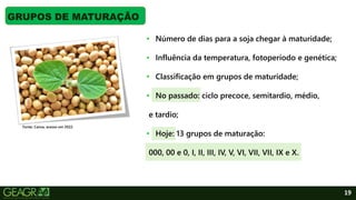 19
GRUPOS DE MATURAÇÃO
Fonte: Canva, acesso em 2022.
• Número de dias para a soja chegar à maturidade;
• Influência da temperatura, fotoperíodo e genética;
• Classificação em grupos de maturidade;
• No passado: ciclo precoce, semitardio, médio,
e tardio;
• Hoje: 13 grupos de maturação:
000, 00 e 0, I, II, III, IV, V, VI, VII, VII, IX e X.
 