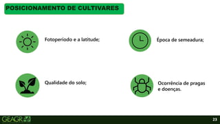23
POSICIONAMENTO DE CULTIVARES
Fotoperíodo e a latitude;
Ocorrência de pragas
e doenças.
Qualidade do solo;
Época de semeadura;
 