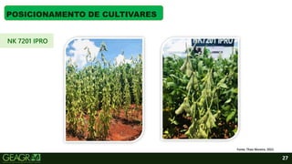 27
POSICIONAMENTO DE CULTIVARES
Fonte: Thaís Moreira, 2022.
NK 7201 IPRO
 