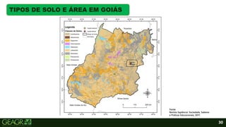 30
TIPOS DE SOLO E ÁREA EM GOIÁS
Fonte:
Revista Sapiência: Sociedade, Saberes
e Práticas Educacionais, 2017.
 