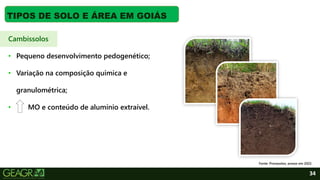 34
TIPOS DE SOLO E ÁREA EM GOIÁS
Cambissolos
• Pequeno desenvolvimento pedogenético;
• Variação na composição química e
granulométrica;
• MO e conteúdo de alumínio extraível.
Fonte: Pronasolos, acesso em 2022.
 