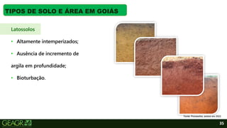 35
TIPOS DE SOLO E ÁREA EM GOIÁS
Latossolos
• Altamente intemperizados;
• Ausência de incremento de
argila em profundidade;
• Bioturbação.
Fonte: Pronasolos, acesso em 2022.
 