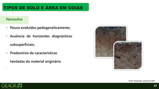 37
TIPOS DE SOLO E ÁREA EM GOIÁS
Neossolos
• Pouco evoluídos pedogeneticamente;
• Ausência de horizontes diagnósticos
subsuperficiais;
• Predomínio de características
herdadas do material originário.
;
Fonte: Pronasolos, acesso em 2022.
 