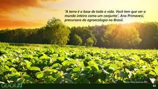 42
“A terra é a base de toda a vida. Você tem que ver o
mundo inteiro como um conjunto”, Ana Primavesi,
precursora da agroecologia no Brasil.
Fonte: Canva, acesso em 2022.
 