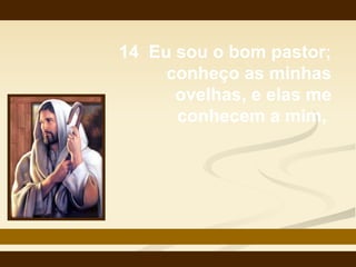 14  Eu sou o bom pastor; conheço as minhas ovelhas, e elas me conhecem a mim,  