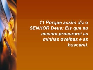 11 Porque assim diz o SENHOR Deus: Eis que eu mesmo procurarei as minhas ovelhas e as buscarei. 