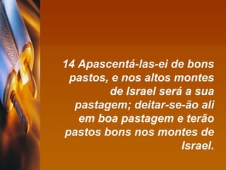 14 Apascentá-las-ei de bons pastos, e nos altos montes de Israel será a sua pastagem; deitar-se-ão ali em boa pastagem e terão pastos bons nos montes de Israel. 